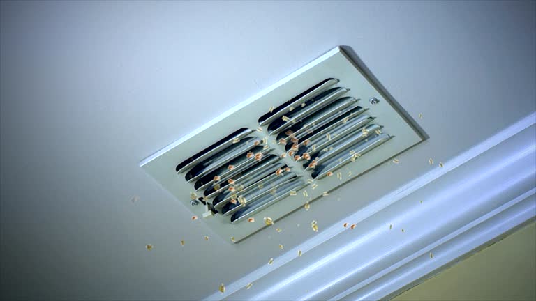 Best Local Air Duct Cleaning Services  in Eaton, OH