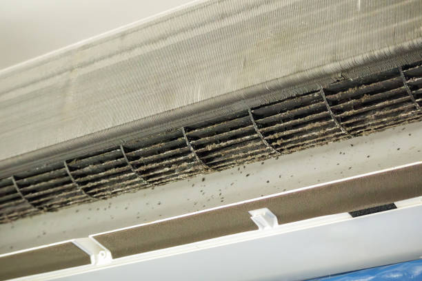 Best Affordable HVAC Duct Cleaning  in Eaton, OH